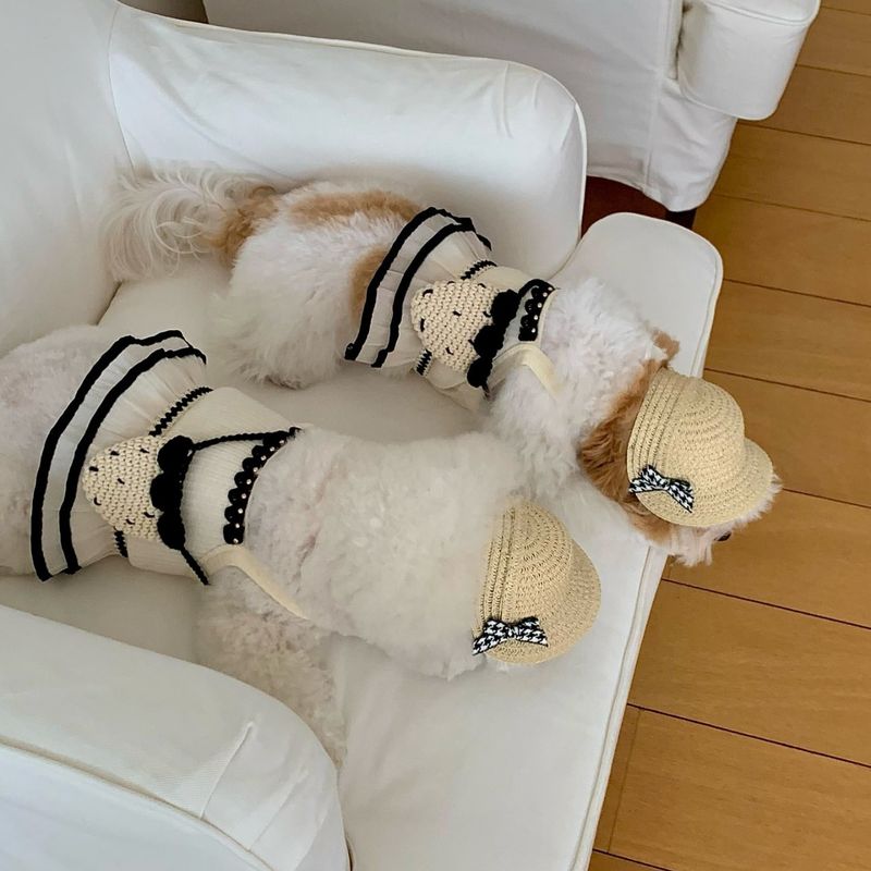 Sommer Neue Dünne Riemen Weste Mesh Bichon Teddy Pomeranian Overall Kleid Für Hunde Und Katzen Anti-Shedding Kleidung_voghion.com