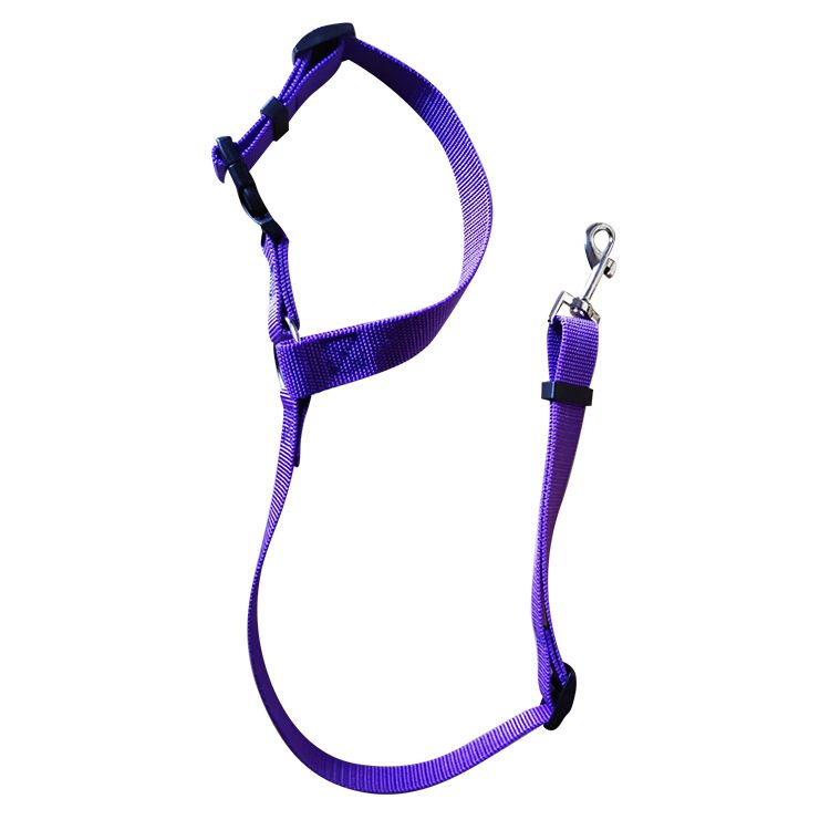 Arnês de segurança para animais de estimação, anel redondo, cinto de carro para cães, assento traseiro, guia, corda de tração_voghion.com