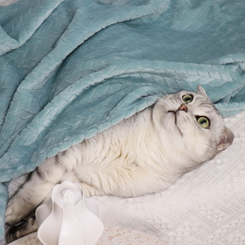 Weizenohr kleine Haustier Katze Nest Matte Hund Wärme Abdeckung Korallen Samt verdickte Decke_voghion.com