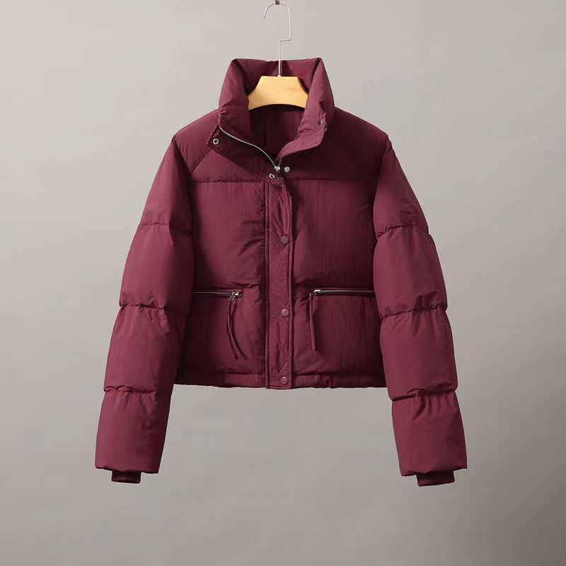 Dameskleding korte opstaande kraag kleine winterjassen katoenen jas eenvoudig losse versie rits pufferjack effen kleur_voghion.com