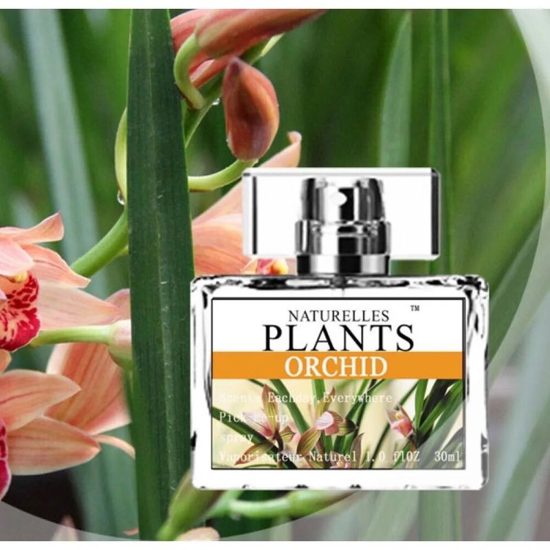 New Perfume Barbossi Fresh Women's Smell Fresh Fragrant Orchid Flavor Set Gift Box Perfume Sample Popular Online_voghion.com