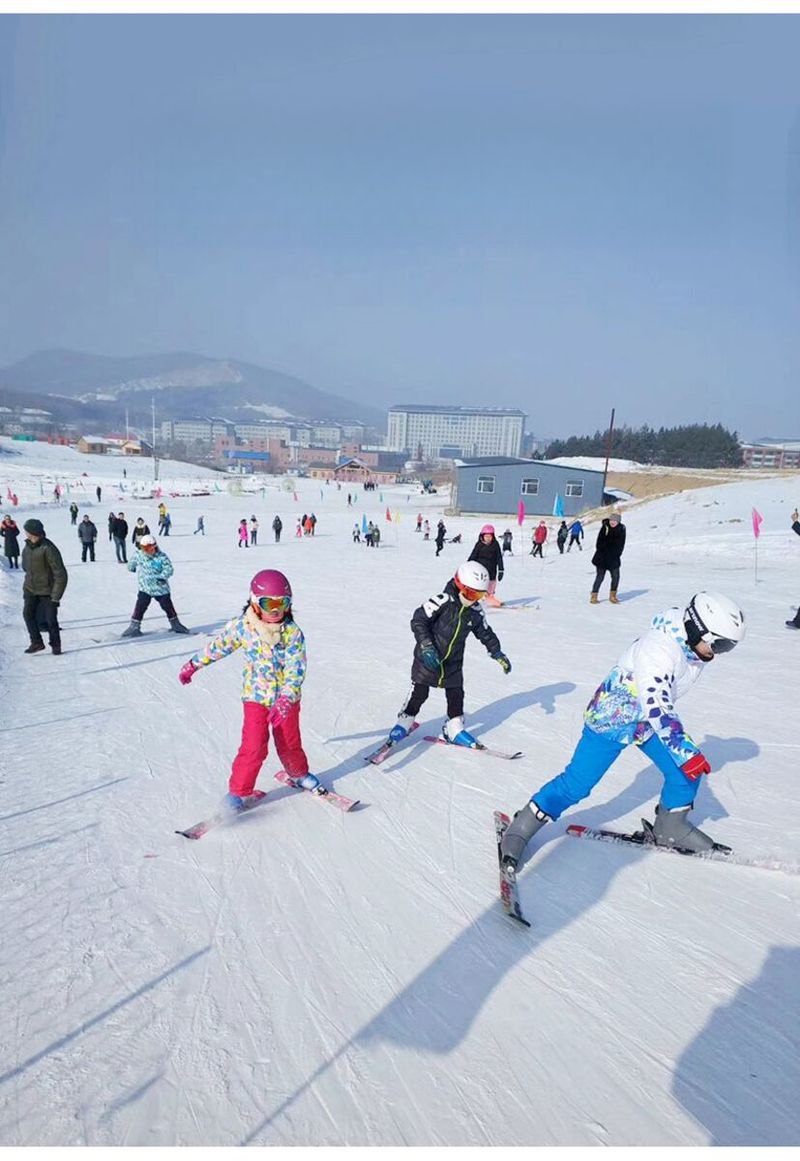 Neu Skihelme für Herbst Winter, Herren Damen Erwachsene Snowboard Doppelboard Ski Schutzausrüstung, Sport_voghion.com