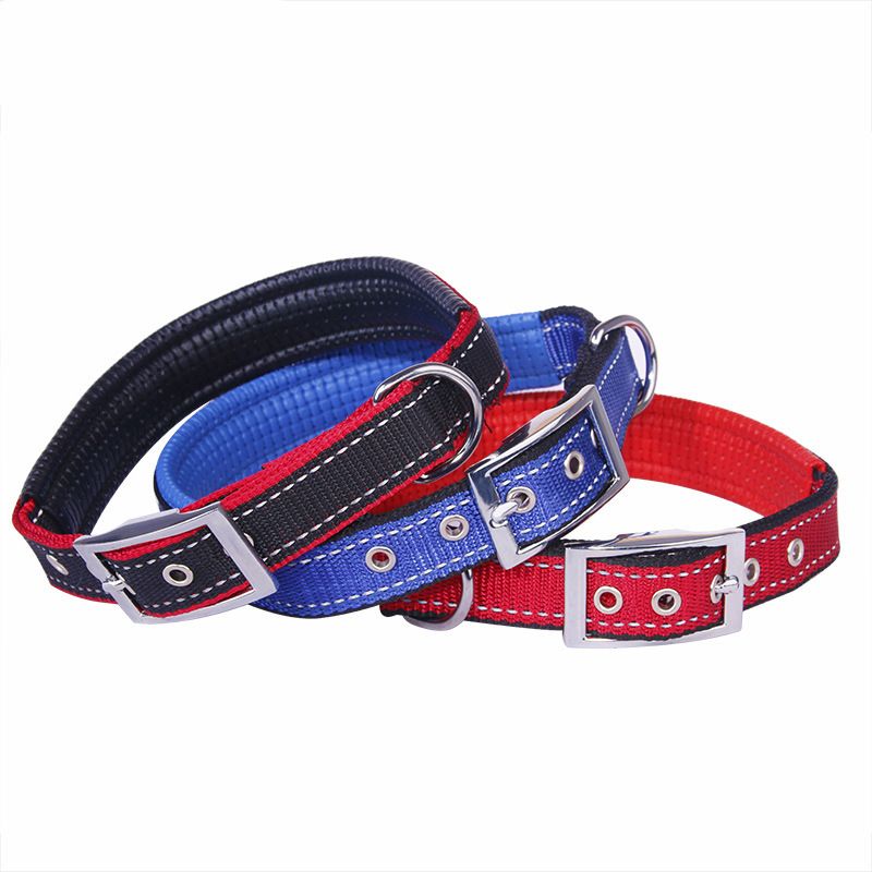 Collare per cani regolabile in schiuma con fibbia in ferro classica e fodera in morbida pelle per animali domestici_voghion.com