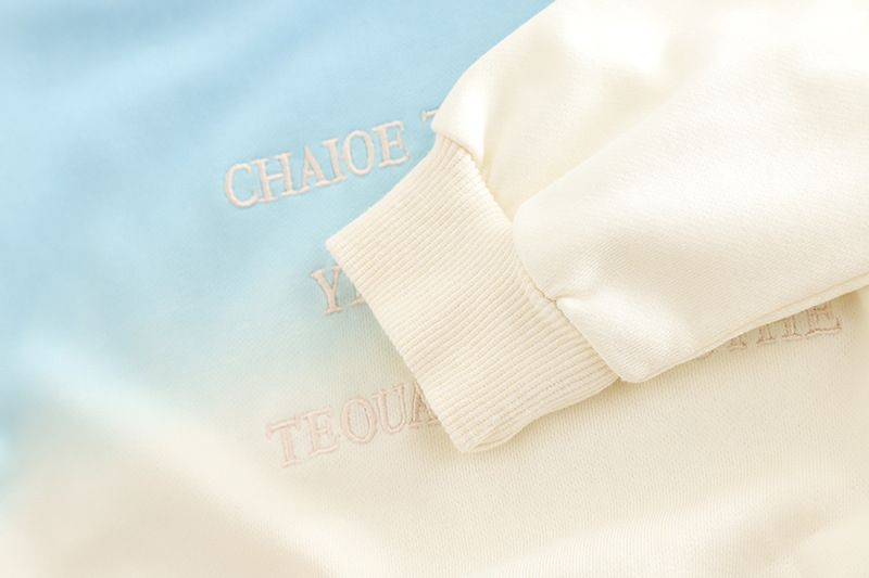 Abbigliamento per bambini primavera e autunno 2025, edizione coreana, felpa con cappuccio ricamata sfumata, jeans a maniche lunghe, set da due pezzi_voghion.com