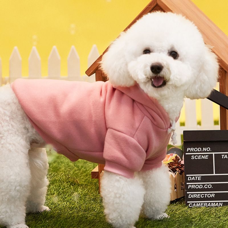 New Puppy Costume Universal For Pomeranians, Bichon Frises, Teddy Dogs, Casual Two-Legged Hooded Fleece Sweatshirt_voghion.com