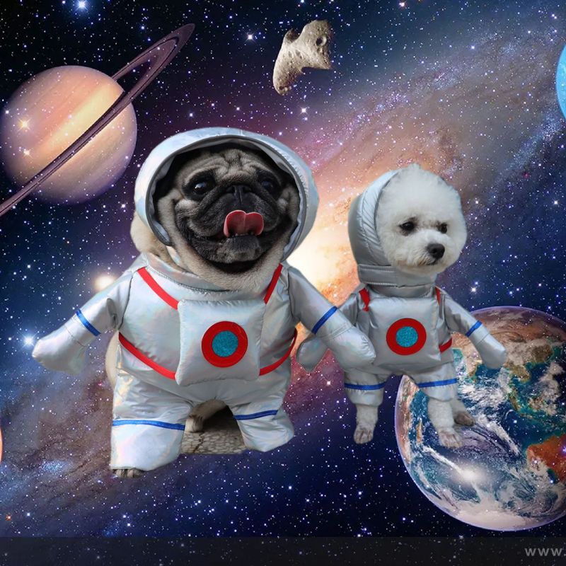 Haustier Hund Katze Raumanzug Astronaut Stehend Halloween Kleidung Lustiges Kostüm_voghion.com