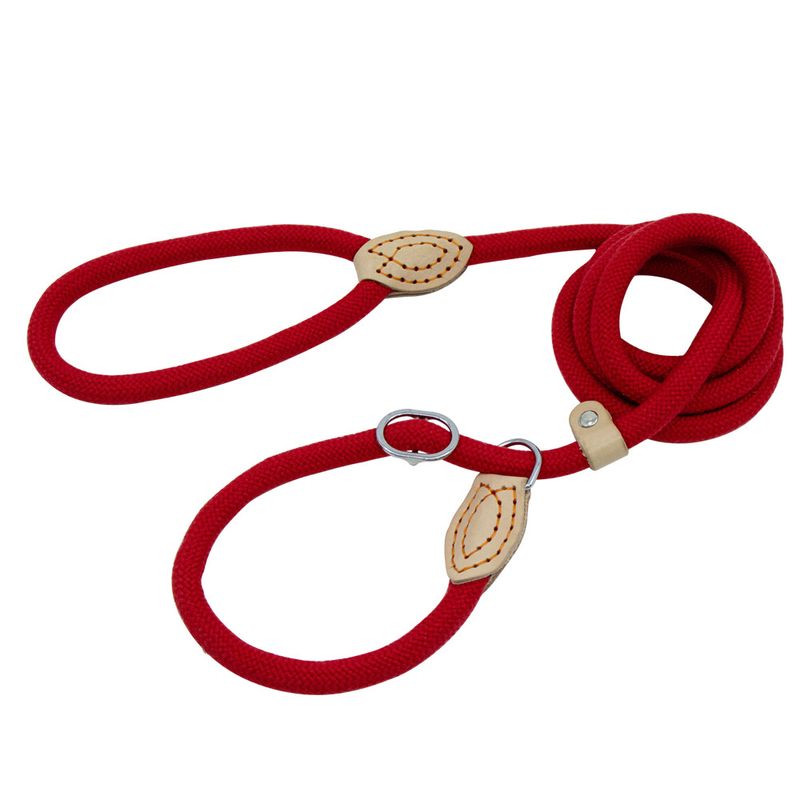Guinzaglio per cani resistente con corda scorrevole, catena a P, trazione regolabile, cintura da addestramento adatta per cani di taglia media e grande_voghion.com