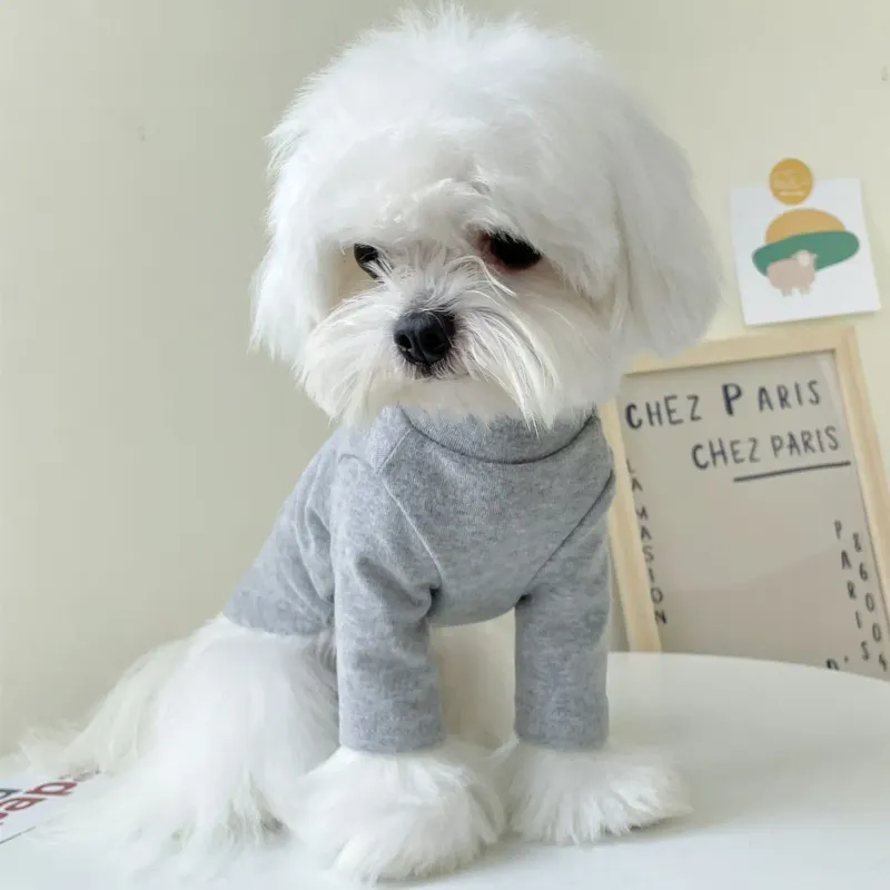 Baumwoll-Rollkragenpullover für Hunde von PawParty Store_voghion.com