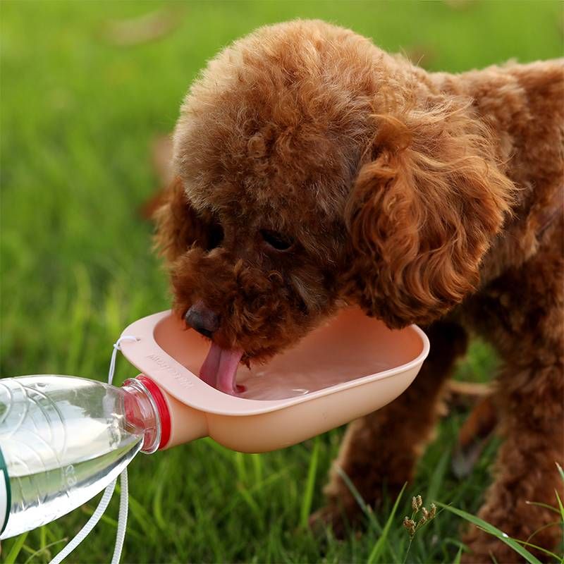 Plastic Water Bottle With Two Bowls For Dogs_voghion.com