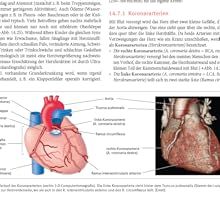 Biologie Anatomie Physiologie Gebundene Ausgabe – 8. März 2023_voghion.com
