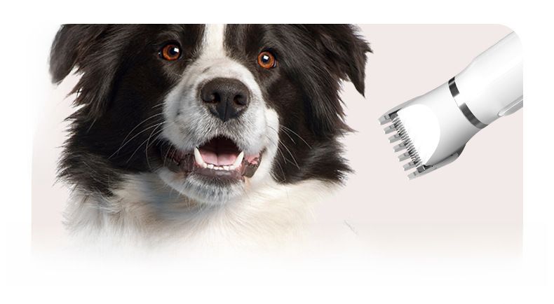 Pet Shaver 4-in-1 suit dog electric clipper pedicure hair clipper cat electric nail grinder_voghion.com