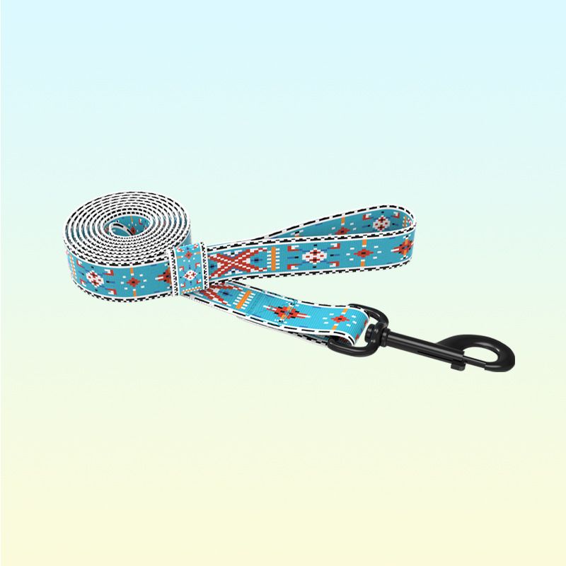 Laser Engraved Metal Buckle Bohemian Leash Ethnic Style Large Medium Small Dog Pet Collar_voghion.com