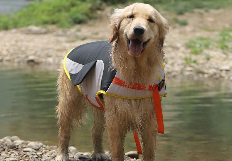 Life Pet Dog Corgi Fleece Clothes Shiba Inu Labrador Swimming Suit Summer Buoyancy Jacket_voghion.com