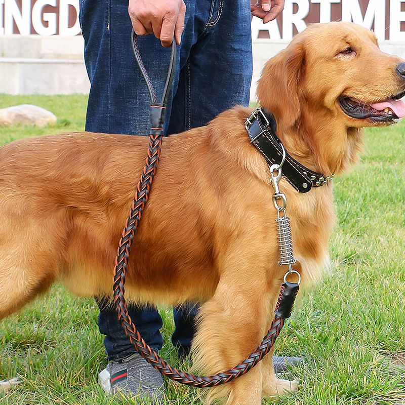 Dog Eight-Strand Cowhide Pet Walking Leash Collar For Medium And Large Dogs Spring Neck Strap Explosion-Proof_voghion.com