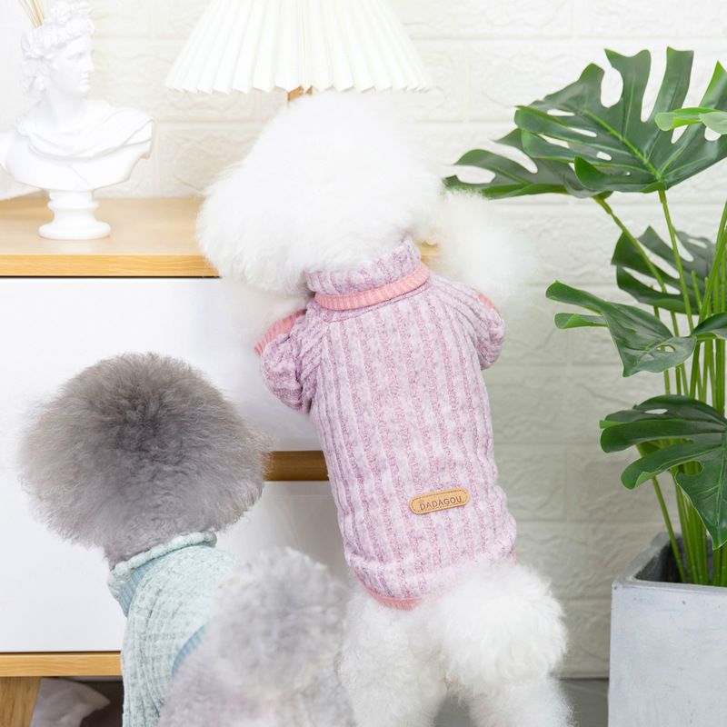 Új Teddy kiskutya kisállat ruházat őszi/téli 21 háromszínű alappulóver_voghion.com