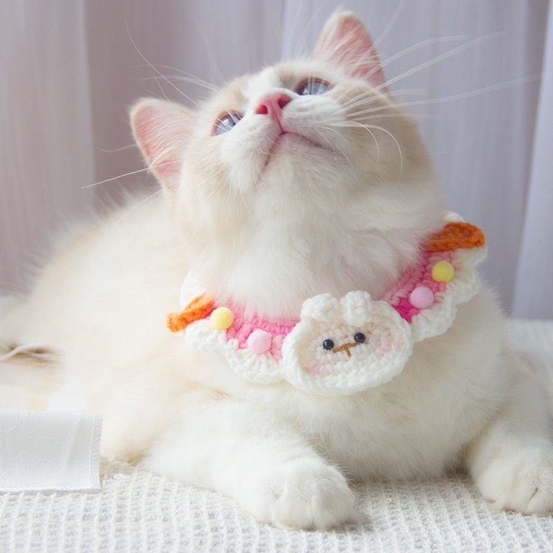 Grazioso collare floreale per gatti, intreccio di lana, mondo marino dei cartoni animati, accessori per il collo per cani, con lacci, chihuahua di taglia piccola e media_voghion.com