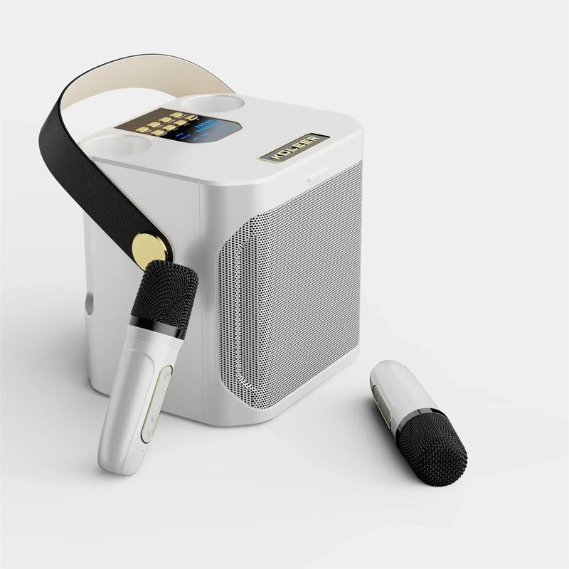 S882 Karaoke-apparaat met dubbele microfoons Verander stemfuncties Draagbare luidspreker Subwoofer TF-kaart U-schijfspeler voor_voghion.com