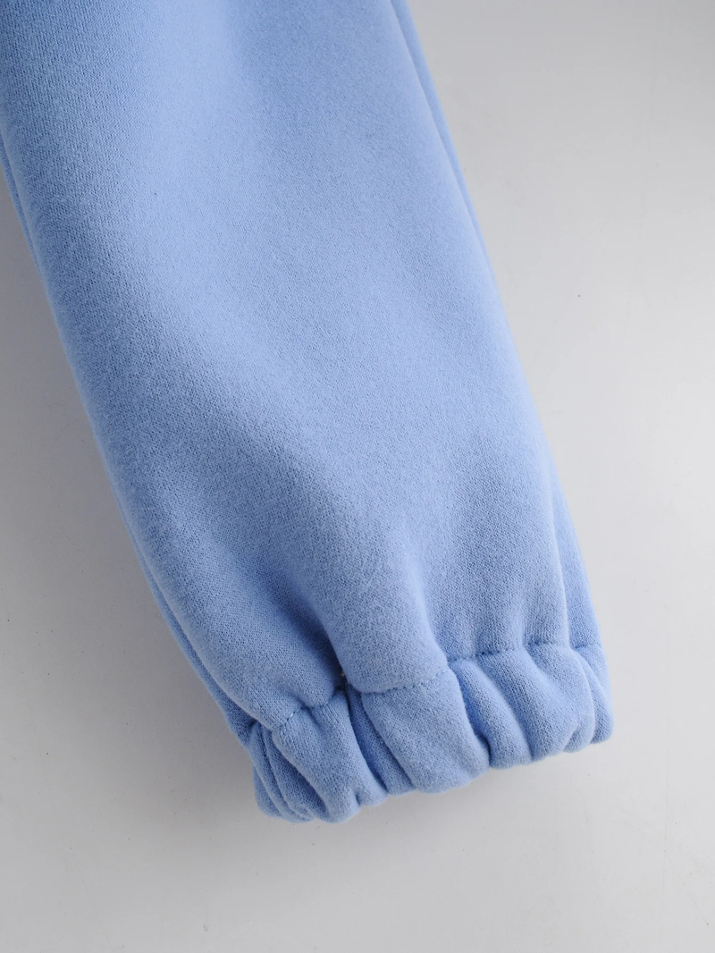 Ropa de mujer Otoño e invierno nuevo estilo suelto más sudadera con capucha de terciopelo + pantalones harén casuales con puños traje deportivo para mujer_voghion.com