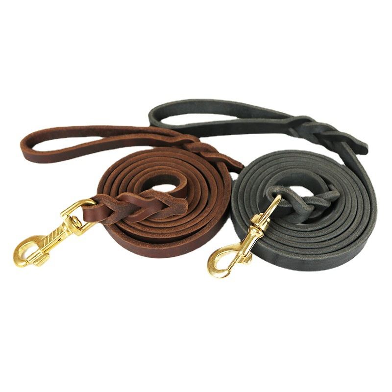 Kupferhaken-Haustier für mittelgroße und große Hunde, Golden Retriever-Hundeleine aus weichem Leder_voghion.com