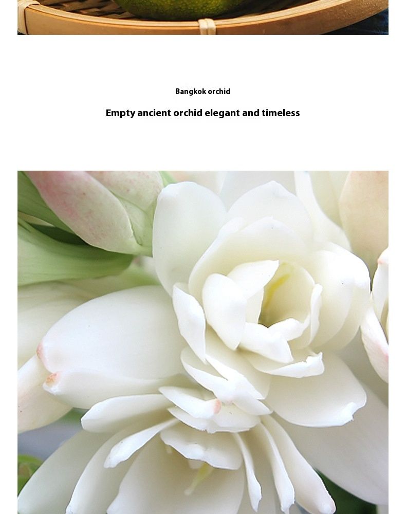 New Myrtle Meets Gabriel Gift Box Women's Eau De Toilette Bangkok Youlan Perfume Three Piece Set_voghion.com