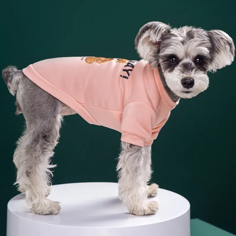 Warm Fleece Pullover For Dogs With A Bear Pattern By PawParty Store_voghion.com