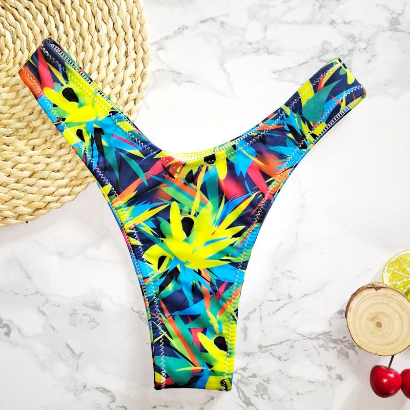 New Printed Women's Sexy Two-Piece Bikini Brazilian Hot Spring V-String Swim Bottoms_voghion.com