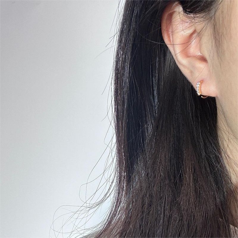 Unisex nuovo stile micro intarsiato zircone anello naso femminile semplice fiore piercing osso orecchio anello orecchini popolari_voghion.com