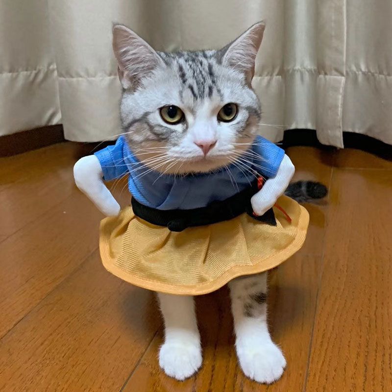 Spring And Autumn Pet Clothing Cute Funny Quirky Costume Hilarious Cat Dog Clothes Standing Transformation Outfit 3D_voghion.com