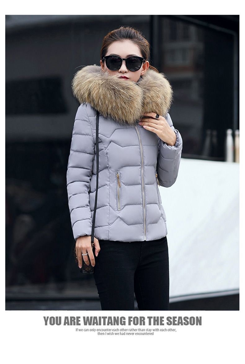 Damenbekleidung Neue Daunen-Baumwolljacke Damen Kurzer Herbst- und Winter-Baumwollmantel Damen Großer Pelzkragen Baumwolljacke_voghion.com