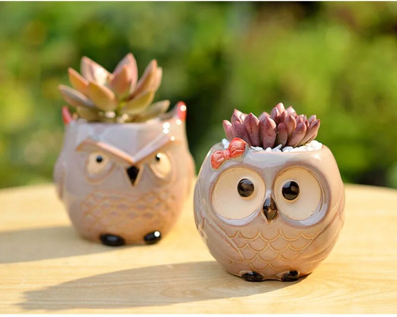 Owl Ceramic Planter 8cm - Mini Cactus Flower Pot Handmade Succulent Container With Drain Hole Gift_voghion.com