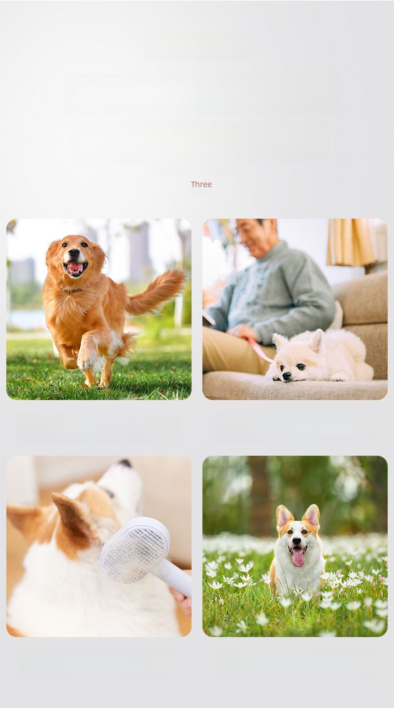 Vestiti per cani da compagnia VIP Schanery Teddy per cani di piccola taglia tutto compreso maschi e femmine quattro stagioni a righe vestiti a quattro zampe_voghion.com