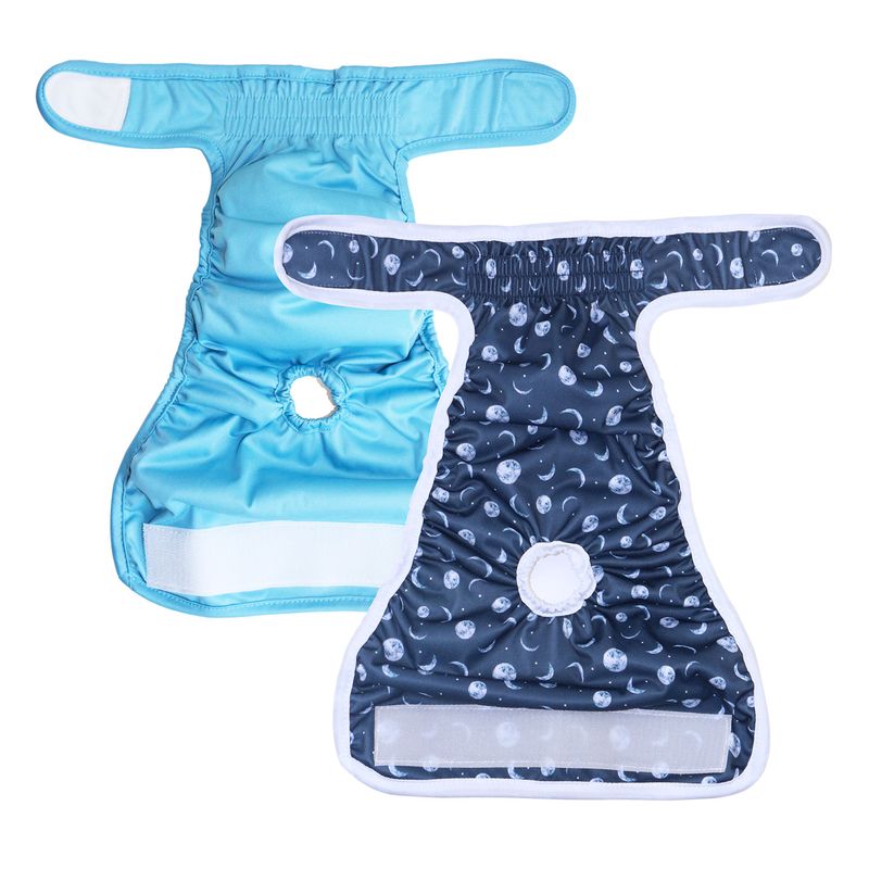 Ensemble de couches physiologiques pour chiennes_voghion.com