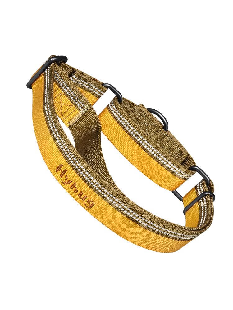 Hyhug Martingale Nylon Dog Collar, Durable Reflective Strip, Safe Night Walk.Escape-proof, No Buckle, Perfect For_voghion.com