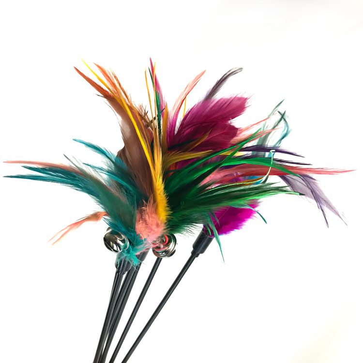 Pet Cat Toy Bell Long Rod Colorful Feather Teaser Wand Scratch And Bite Resistant Boredom Relief_voghion.com