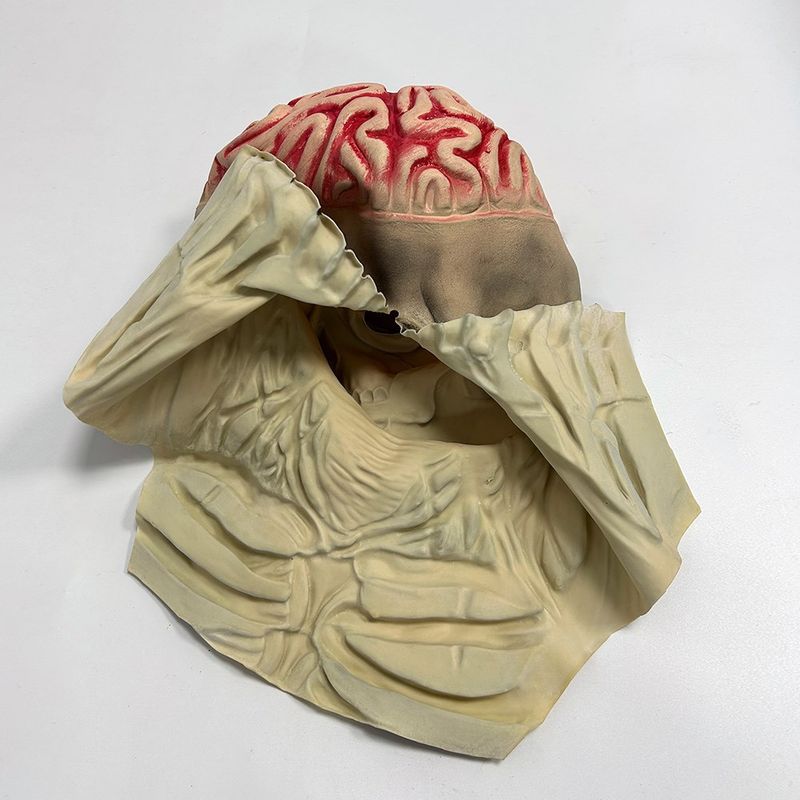 Maschera biochimica del teschio di Lofytain Cosplay terrificante scheletro del cervello cuffia in lattice Halloween Halloween_voghion.com