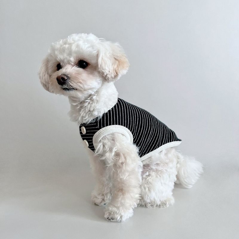 Gilet in maglia a righe semplice per cani e gatti, sottile e traspirante, in stile coreano, per cani di peluche._voghion.com