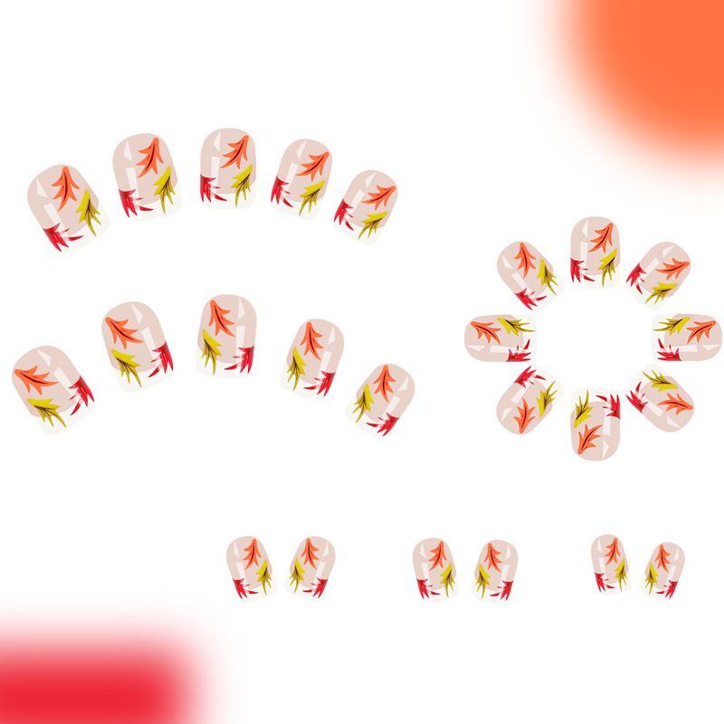 Trumpi blizgūs kvadratiniai šarvai rudens ir žiemos madingi prancūziško klevo lapo rudens lapų presavimo šarvai moterims, universalūs, 24 dalys_voghion.com