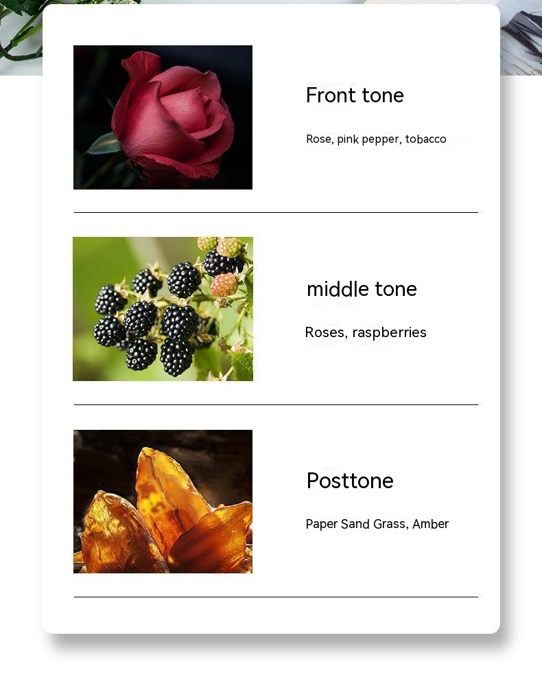 Rose Royal Desert Damenparfüm, anhaltender Duft, frischer und anhaltender Blumenduft, 50 ml_voghion.com