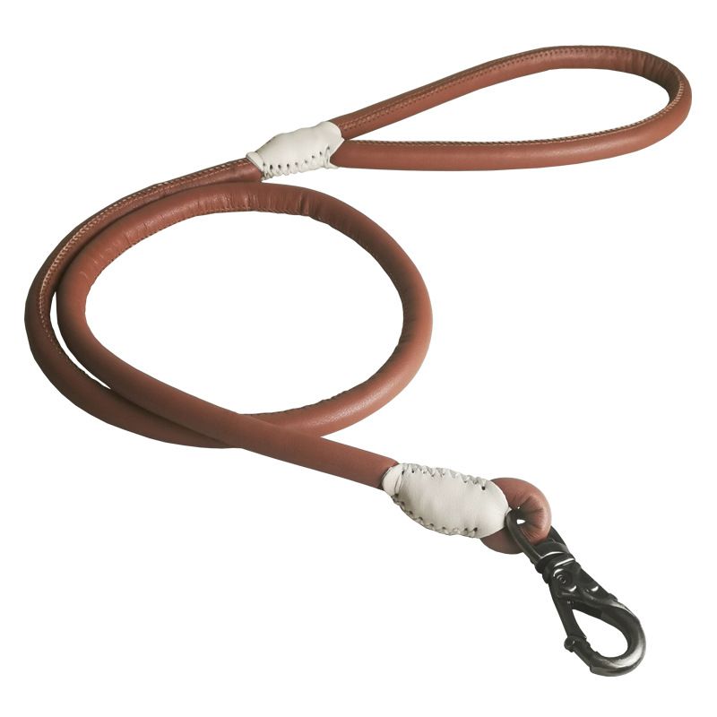 Kekuo Superfine Leather Pet For Small And Medium Dogs, Large Dog Leash 120Cm Long, Best-Selling Model_voghion.com