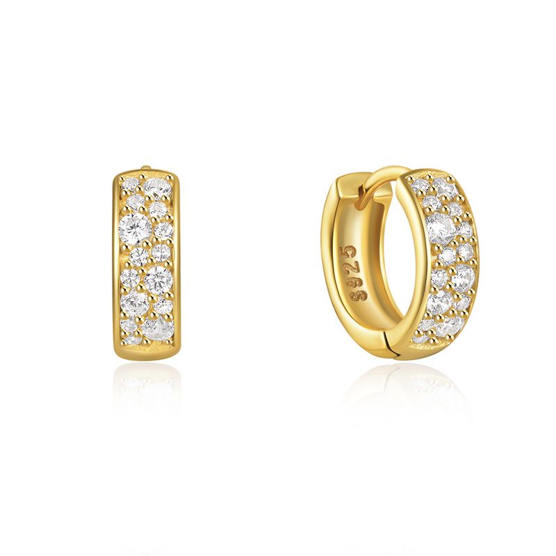 Women's Jewelry Simple S925 Sterling Silver Classic Light Luxury Personality Double Row Diamond Earrings Huggie Earring_voghion.com