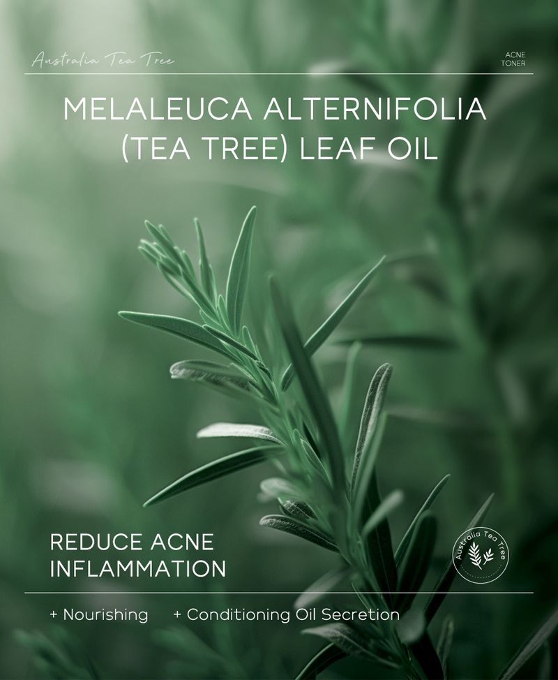 Toners Tea Tree Anti Acne Toner 100ml Hydrating Moisturizing Skin Care Products_voghion.com
