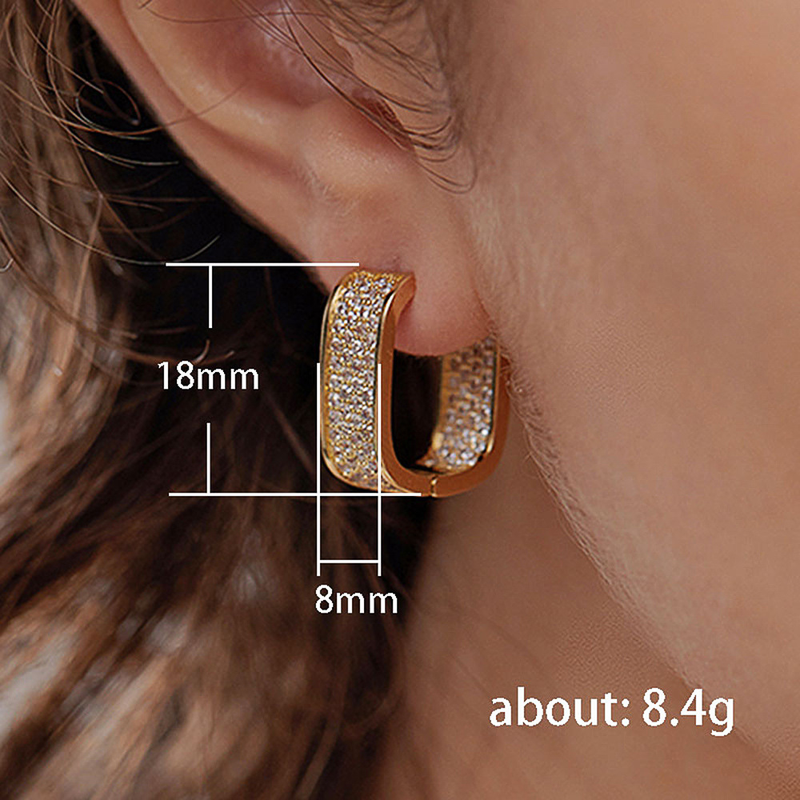 Light Micro Inlaid Zircon Young Ladies Fashion Earrings Jewelry_voghion.com