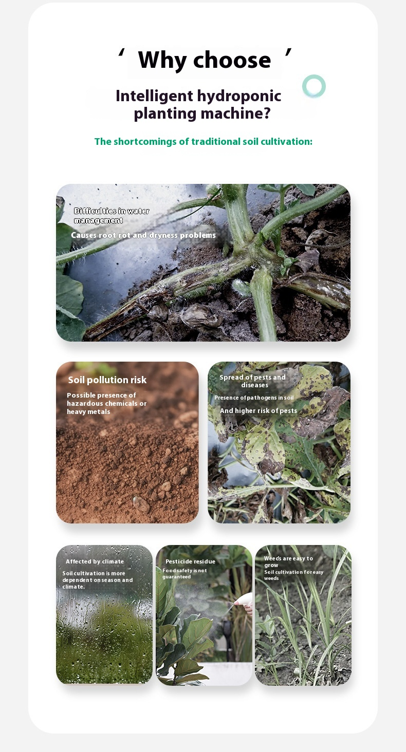 Macchina per piantagione idroponica intelligente, completamente automatica, per la coltivazione idroponica di ortaggi, senza suolo, per la piantagione di ortaggi, riempimento di luce_voghion.com