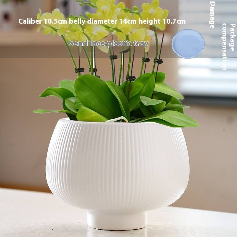 Keramik-Blumentopf mit Untertasse – Stilvolles Wohndekor für Sukkulentenpflanzen – Modernes und elegantes Design_voghion.com