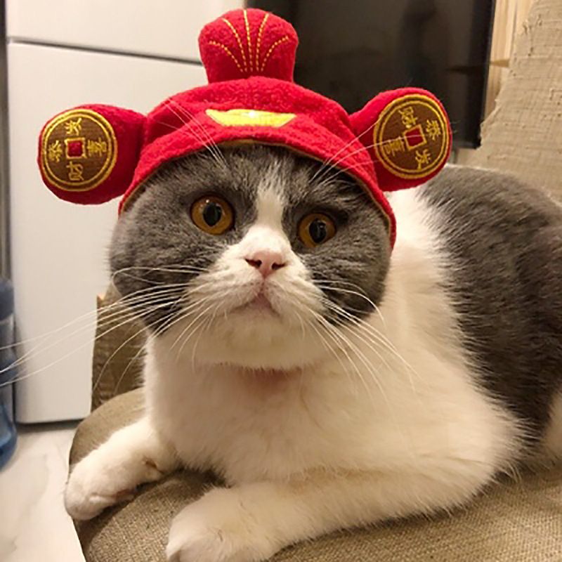 Hond Teddy Chinese Stijl God van de Rijkdom Gelukskat Kostuum Hoofddeksel Halloween Huisdier Hoed Outfit_voghion.com