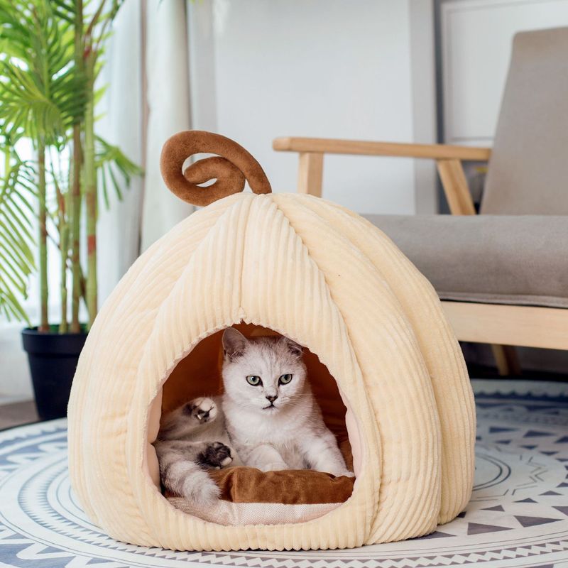 Nuevos nidos para las cuatro estaciones, otoño-invierno, nidos para perros y gatos famosos en Internet, suministros para mascotas extraíbles y lavables_voghion.com