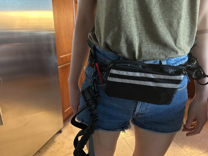 Taška na vodítko pro psy Hands Free s dvojitým popruhem pro dva psy - elastický popruh s dvojitým polstrováním pro ruce_voghion.com