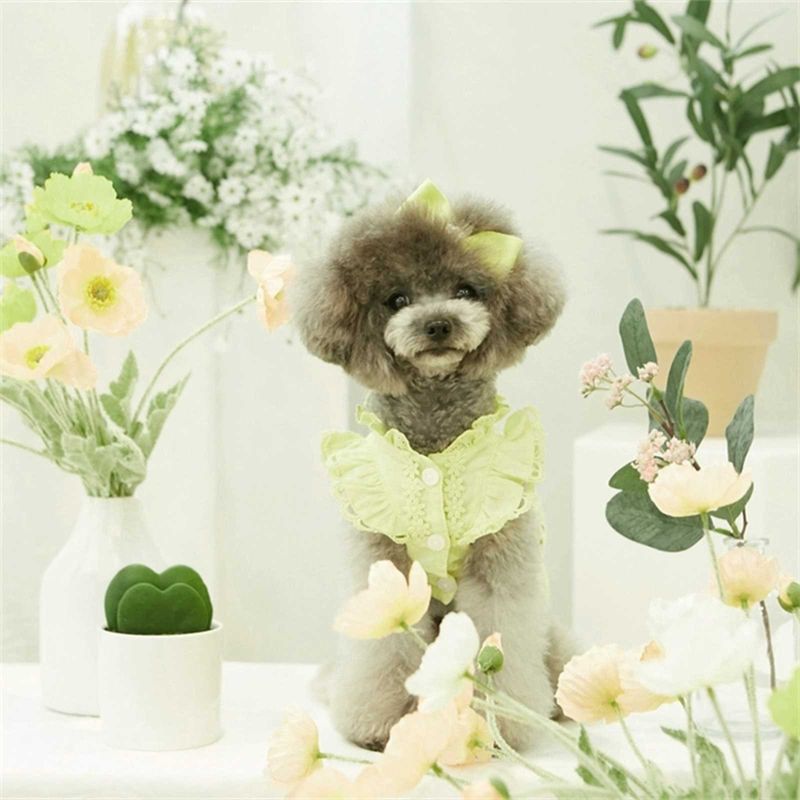 Vestito estivo da principessa con maniche a palloncino in pizzo per animali domestici 2025 per cani e gatti Teddy Bichon, vestiti sottili + copricapo_voghion.com