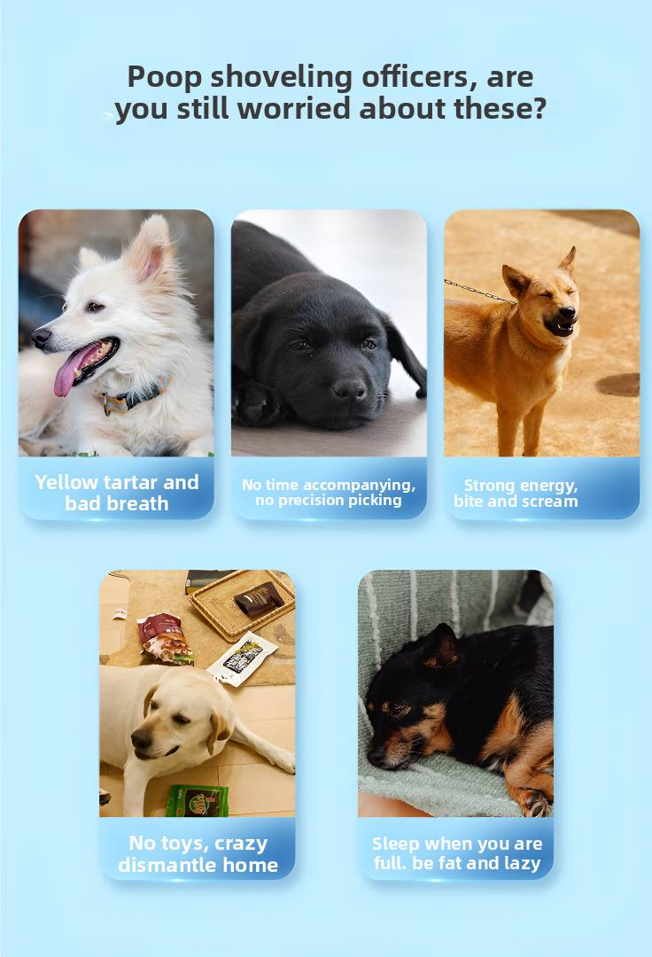 1 Stück Hundespielzeug Tauziehen Leckagefutterball Interaktives Kauseil für Hunde Nagen für mittelgroße bis große Hunde zur Linderung von Langeweile, Heimtierbedarf_voghion.com