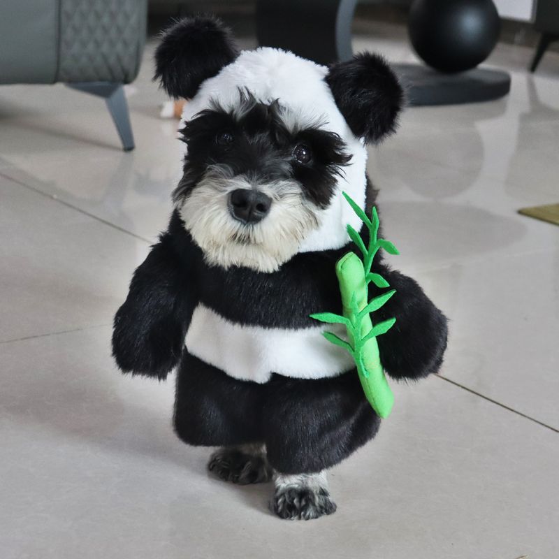 Halloween Pet Funny Cat Dog Transformation 3D Panda Holding Bamboo Upright Costume_voghion.com